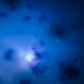 DISCO BATH BOMBS