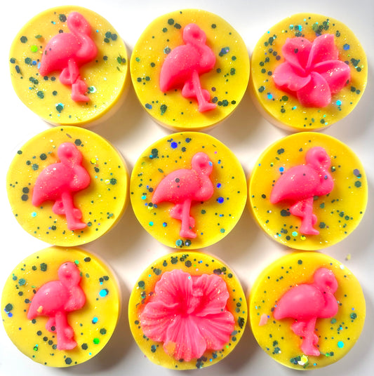 COCO PUCK
