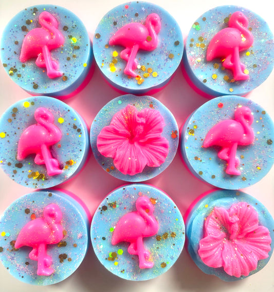 PARADISE PUCKS